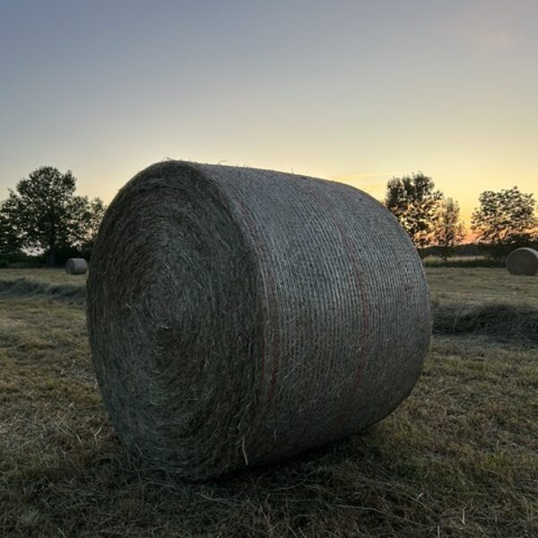 Heu aus eigener Ernte