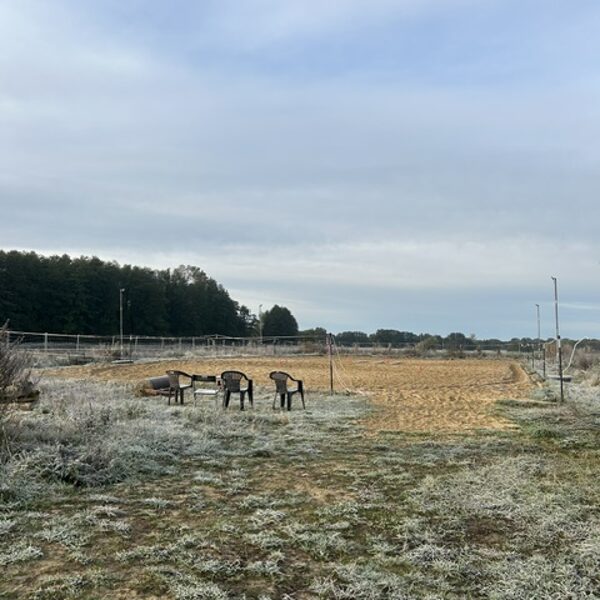 Der Reitplatz mit Flutlicht ausgestattet
