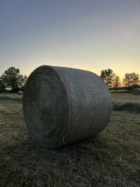 Heu aus eigener Ernte