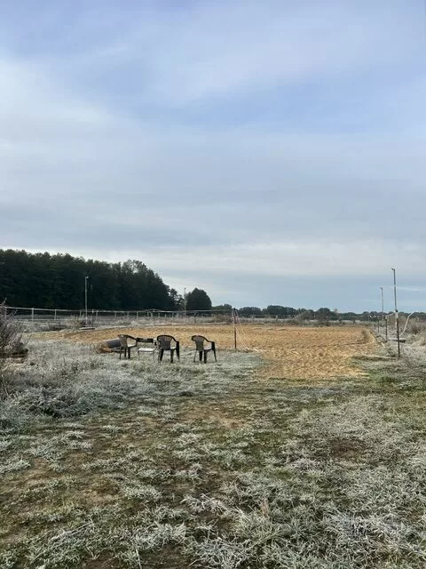 Der Reitplatz mit Flutlicht ausgestattet